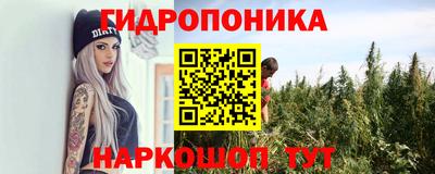 крисы Славянск-на-Кубани