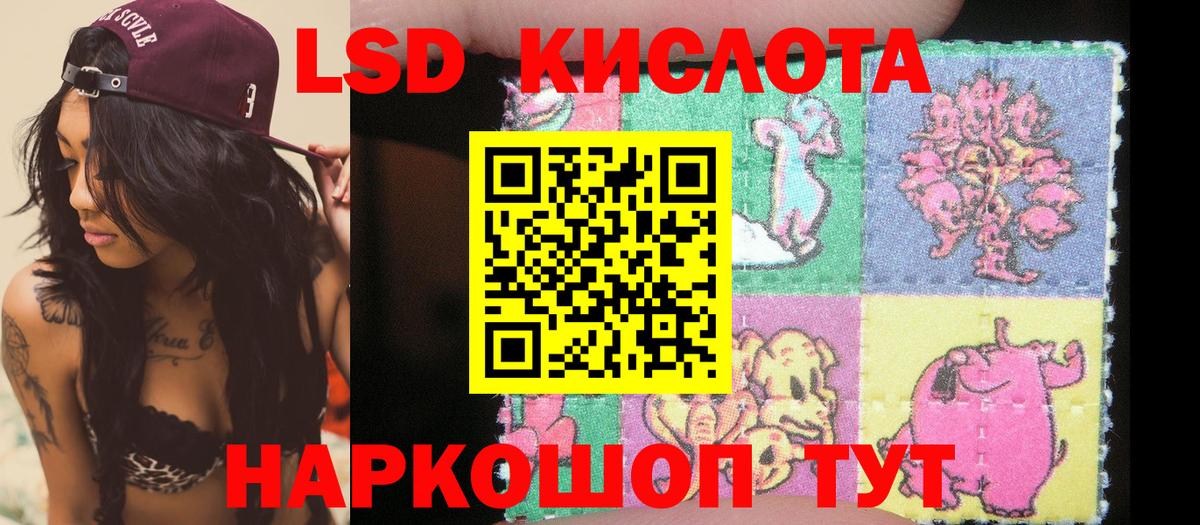 Наркотические марки  Наркотические марки 1,5мг  Вход с VPN  Новозыбков  Наркотические марки 1,5мг 