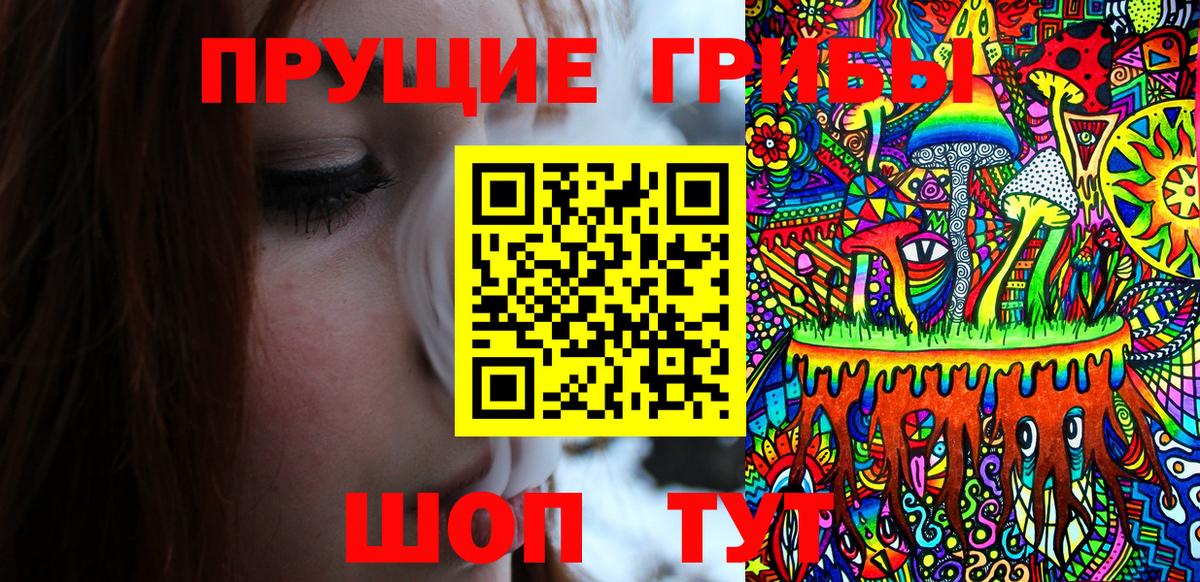 Новозыбков  Псилоцибиновые грибы мухоморы  Вход с VPN 
