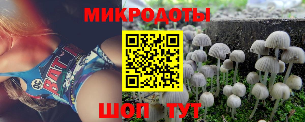 Галлюциногенные грибы Magic Shrooms Новозыбков